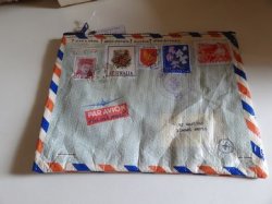 画像1: パドルビージッパーポーチ　Airmail