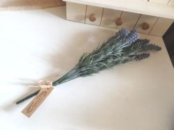 画像1: ボタニカルメイド　バンチ　ラベンダーショート