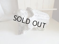 画像1: ワンダーヘッジホッグ　ガーデンオーナメント