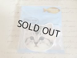 画像1: にゃんこびよりシールフレーク　しましま