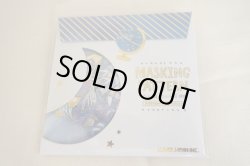 画像1: フレークシール マスキングパターン シールフレーク テンタイ