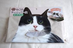 画像1: ねこのティッシュケース　ハチワレ