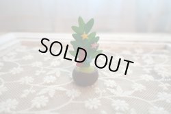 画像1: デコレ　コンコンブル　七夕盆栽