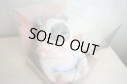 画像1: スマホスタンド　つまんでアニマルズ　B　ハリネズミ