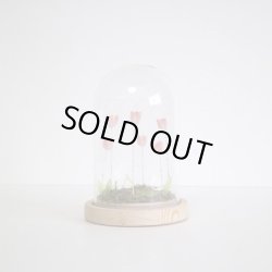 画像1: LUMO TulipDomeランプ S　オレンジ