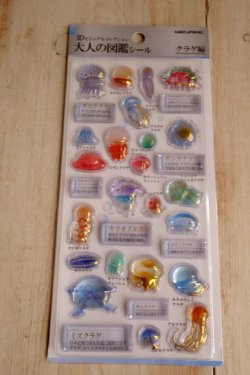 画像1: ３D大人の図鑑シール　クラゲ