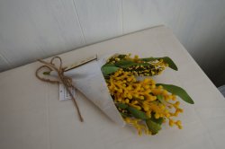 画像1: アーティフィシャルスワッグ　M　ミモザ