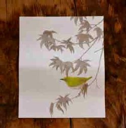 画像1: ユカワアツコさんの四季の野鳥懐紙　メジロ