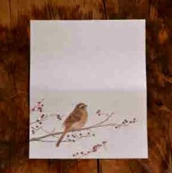 画像1: ユカワアツコさんの四季の野鳥懐紙　ホオジロ
