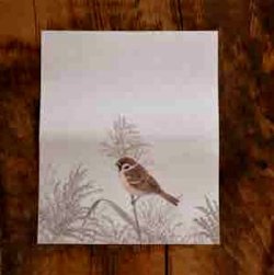 画像1: ユカワアツコさんの四季の野鳥懐紙　スズメ
