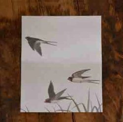 画像1: ユカワアツコさんの四季の野鳥懐紙　ツバメ