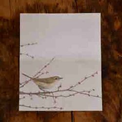 画像1: ユカワアツコさんの四季の野鳥懐紙　ウグイス