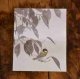 ユカワアツコさんの四季の野鳥懐紙　シジュウカラ