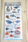 ３D大人の図鑑シール　海洋生物