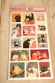 スクエアシール　動物だらけ　ねこ