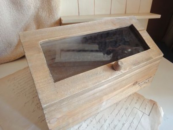 画像1: ウッデンボックス　ガラスケース (1)