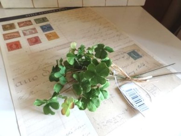 画像1: ティアラ　アートフラワー　クローバーピック (1)