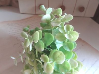 画像1: ティアラ　アートフラワー　ユーカリBDピック  ライトグリーン