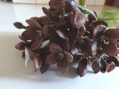 画像1: ティアラ　プバリアブーケ　ブラウン