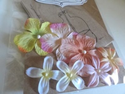 画像1: ドリプチバッグセット　PK