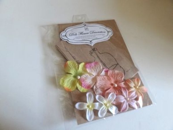 画像1: ドリプチバッグセット　PK (1)