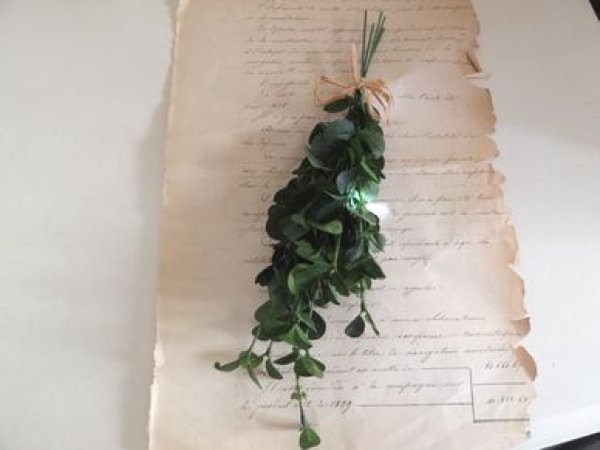 画像1: ボタニカルメイド　バンドル　ベビーティアーズ (1)