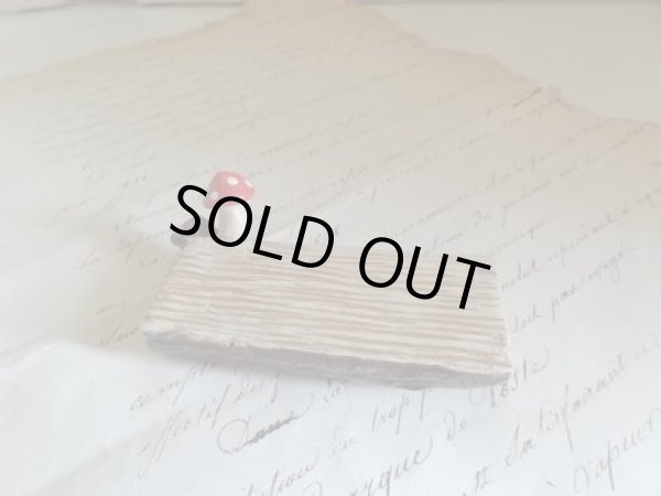 画像1: セルバロマンティカ　キノコベンチ (1)