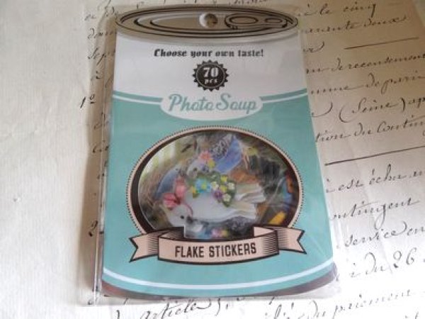 画像1: クーリア　フォトスープ　インコ (1)