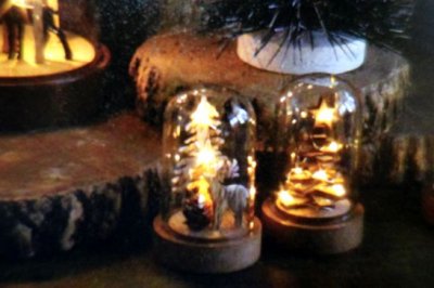 画像2: クリスマス　エルツLEDミニガラスドーム　ウッドトナカイ