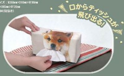 画像1: ねこのティッシュケース　茶トラ