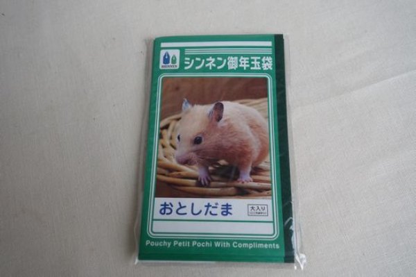 画像1: これっポチ袋　ネズミ (1)