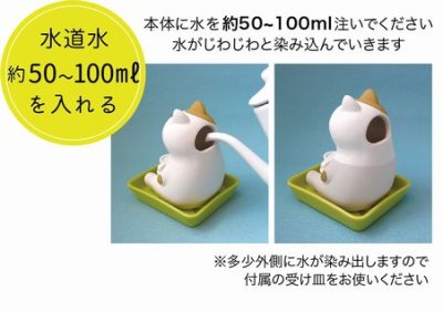 画像1: デコレ　コンコンブル　しっとり壺　リラックス　インコ