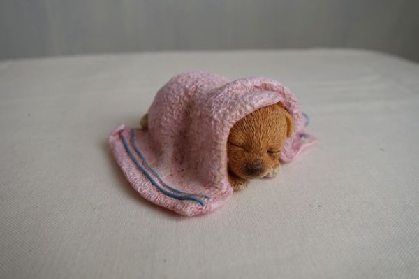 画像1: カントリーミニドッグ スリーピング HT6619 (1)