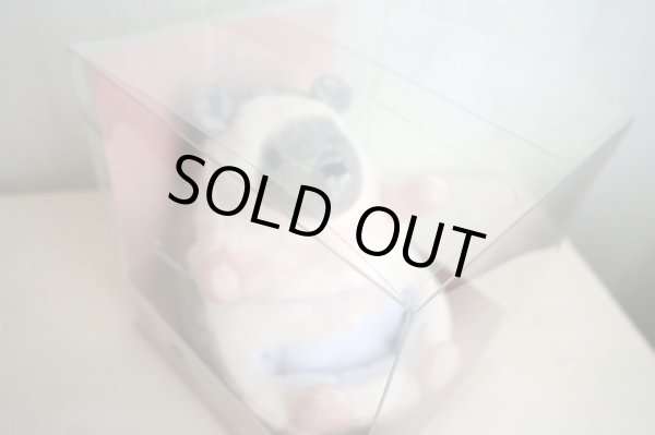 画像1: スマホスタンド　つまんでアニマルズ　B　ハリネズミ (1)