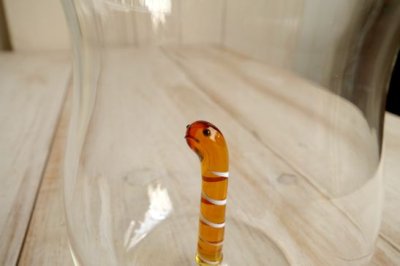 画像2: デコレ　チンアナゴグラス　ニシキアナゴ