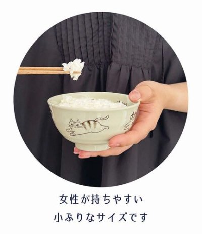 画像3: デコレ　fikalycka  茶碗　NV