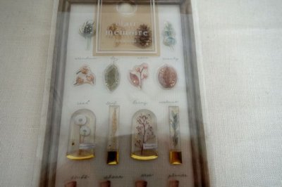 画像2: クレールメモワール　木の実