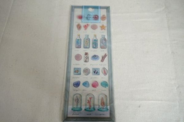 画像1: クレールメモワール　シェル (1)