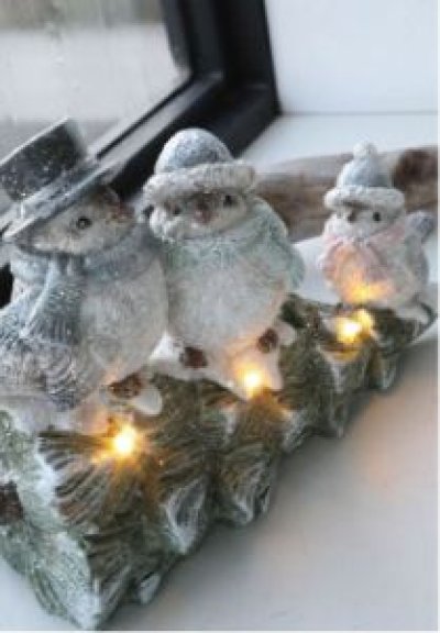 画像1: フォルンツリー・バードLED