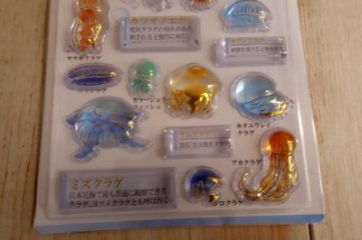 画像2: ３D大人の図鑑シール　クラゲ