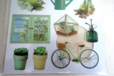 画像2: シアーフォトモチーフシール　グリーン