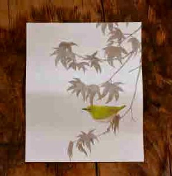 画像1: ユカワアツコさんの四季の野鳥懐紙　メジロ (1)