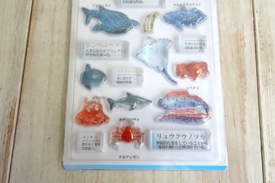 画像2: ３D大人の図鑑シール　海洋生物