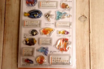 画像2: ３D大人の図鑑シール　熱帯魚