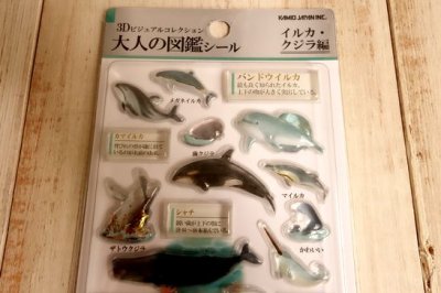 画像1: ３D大人の図鑑シール　イルカクジラ