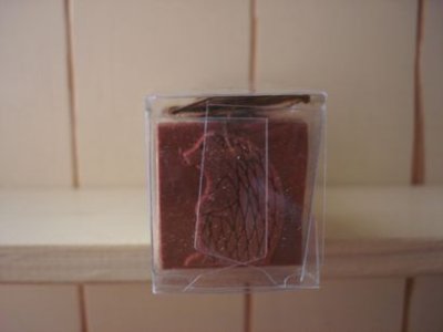 画像1: アンボアスタンプ　ハリネズミ