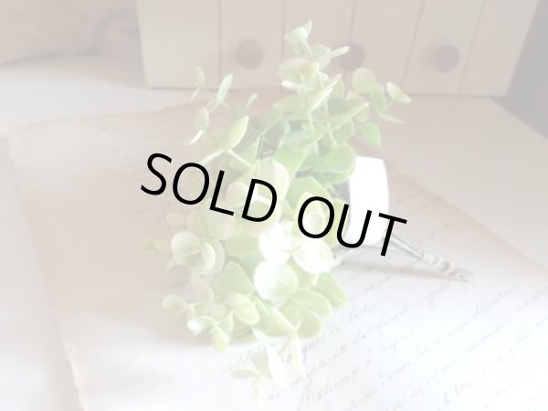 画像1: ティアラ　アートフラワー　ユーカリBDピック  ライトグリーン (1)